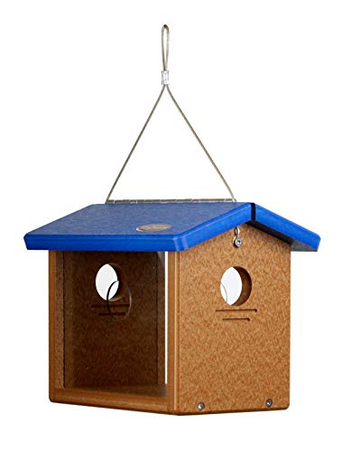 Recycled Bluebird Mealworm Feeder Hang or Mount (Blue, Cedar) - color: Blue, Cedar