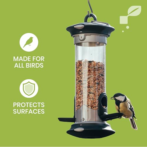 Bird Feeder & Birdhouse Cleaner, Natural Bird-Friendly, 32oz Spray, 2-Pack | Hypochlorous Acid (HOCl) Multi-Surface Cleaner, Remove Droppings and Dirt, Non-Toxic, Fragrance-Free, Safe for All Birds - size: 32 Fl Oz (Pack of 2)
