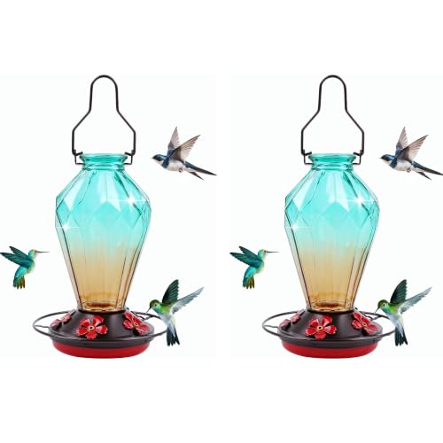 2 Pack Glass Hummingbird Feeder for Outdoors Hanging, 25Oz Humming Bird Nectar Feeder, Perch, 5 Flower Feeding Ports, Leak Proof Base, Hook for Outside Garden Backyard, Diamond Green - color: Diamond Green-2