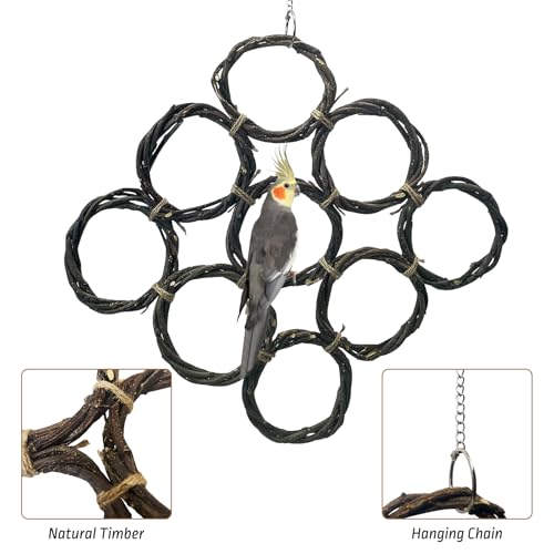 BNOSDM Bird Swing Rings Toy Natural Wood Parrot Climbing Ladder Parakeet Chewing Toys Hanging Budgie Cage Accessories for Green Cheek Conure Cockatiel Lovebird (9 Rings)