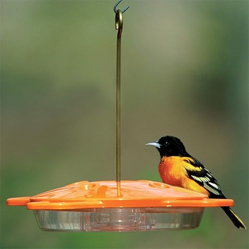 Aspects 361 Oriole Feeder 16-Ounce - 4 ports