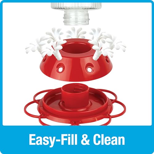 Nature's Way Hanging Glass Hummingbird Feeder for Outdoor Décor, 28 Ounce Capacity Nectar Feeder, Ant Moat, 7 Easy to Clean Flexible Ports, Red - style: 28 Ounce Capacity