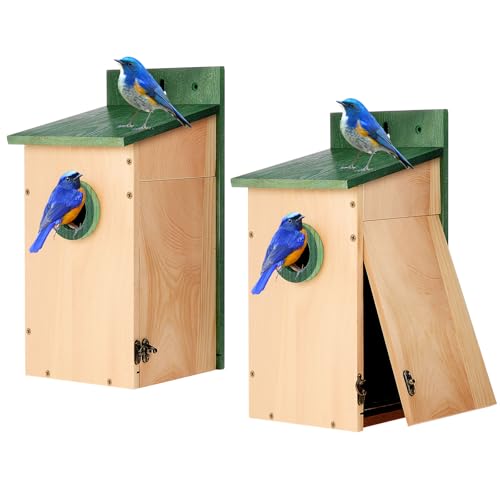 2 Pack 12" H Cedar Bluebird Houses for Outside Wooden Predator Guard Bird Nesting Box with Secure Latch Air Vents Clear View Panel Outdoors Bird House for Bluebird Wren Swallow Finch
