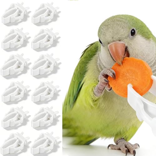 12 Pack Bird Skewers, Bird Kabob Fruit Vegetable Holder for Parrots Conure Cockatiels, Metal Bird Cage Feeder Clips with Hooks, Foraging Toys Supplies - color: white 12pcs