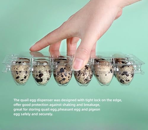 Quail Egg Cartons,15 Grids Small Egg Storage Holders,Quail Eggs Bulk Carton Trays & 2PCS Stainless Steel Cutter