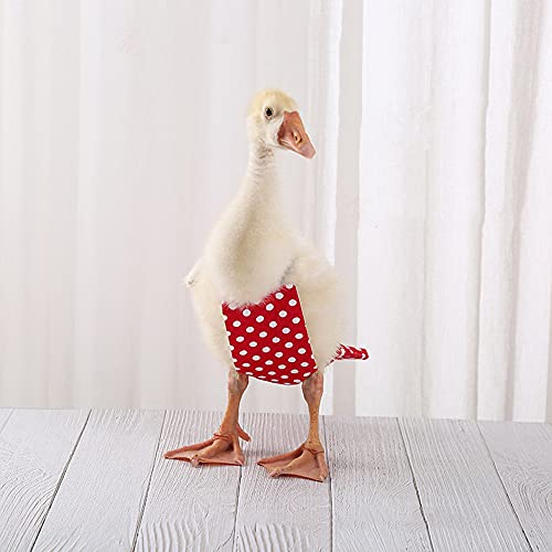 Chicken Duck Goose Diaper Washable Pet Bow Tie Diapers for Hens Roosters Poultry 1 Pack (L, Green) - color: Green, size: L