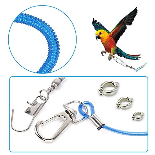 Wishlotus Parrot Flying Rope, 5 Meters Parrot Foot Chain Flying Training Leash Outdoor，Anti-Bite Elastic String Training Harness for Agapornis Fischeri Cockatiels Starling Birds (Green) - color: green