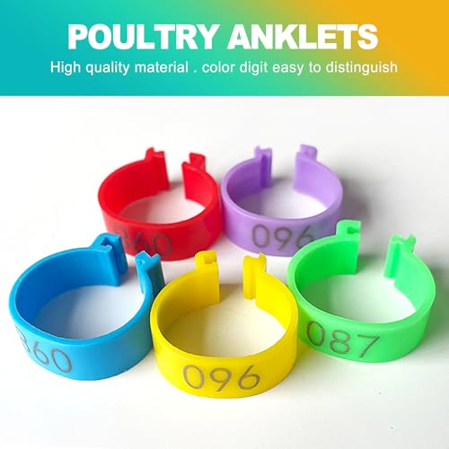 100 Pcs 16mm Numbered Chicken Leg Bands, Colorful Poultry Leg Bands & Rings, Chicken Identification Tags for Legs, Poultry