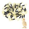 M METERXITY 50-Pack Adjustable Chick Leg Bands, 1.38" x 0.2" Polyester Chicken Leg Brace for Chicks/Ducks/Birds [Light Yellow] Poultry Leg Bands - color: LightYellow