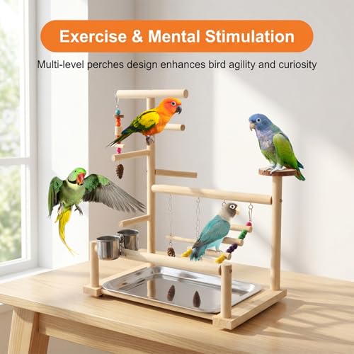 Bird Playground, Natural Pine Wood Parrot Stand with Swing, Climbing Ladder, Chew Toy and Perches, Bird Play Stand for Parakeets, Budgies, Cockatiels and Small Birds