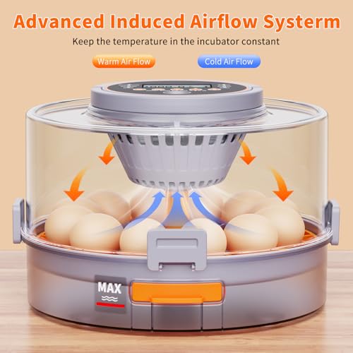 12 Egg Incubators for Hatching Eggs for Home, Classroom and Lab | Incubator for Chicken Eggs,Duck,Goose,Quail,Snake,Egg Incubator with Automatic Egg Turning and Humidity Control - color: gray+Orange