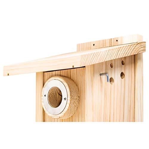 WHITEHORSE Bird House Predator Guards - Size #1 - a Set of 5 Stainless Steel Rings with a 1 9/16" Hole Size (40mm) - Protects The Entry Hole … - size: Size #1 (1 9/16")