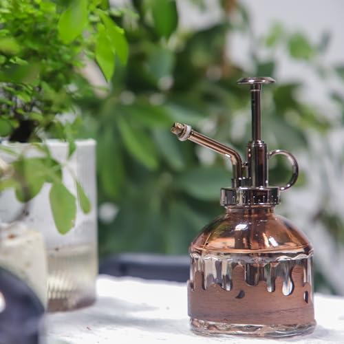 Glass Plant Mister, Spray Bottle with Vintage Bronze Plastic Pump | Vintage Style Spritzer, Indoor Plant Spray Bottle, 6.3" Tall, 200ml/6.7oz, Small One Hand Watering Can for Garden Cleaning - color: C-Morning Dew