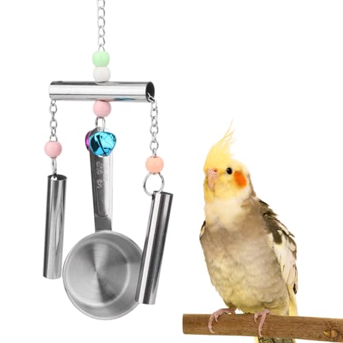 Hypeety Stainless Steel Bird Bell Toys Heavy Duty Hanging Bell Toy for Cage | Rustproof, durable, safe for metal cage, easy-hanging, with 1 spoon, for cockatoos/macaws/african grey/large parrots and bird - color: Bells+Spoon