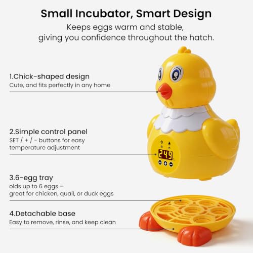 Incubators for Hatching Eggs, Small Egg Incubator with Temperature Control, Air Circulation & Viewing Window, 6 Eggs Poultry Hatcher for Chicken Duck Quail Pigeon Pheasant, Ideal for Home Lab Kids
