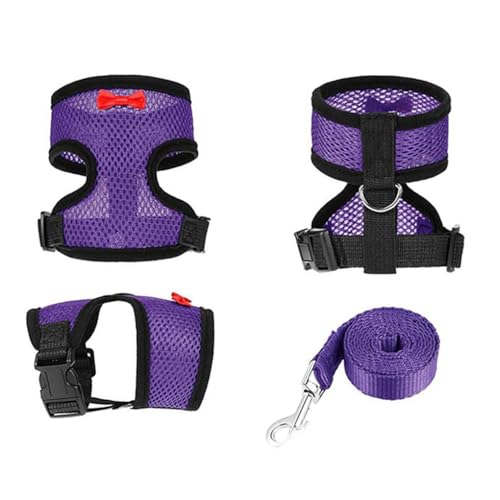 Chicken Harness and Leash Set Adjustment mesh Duck Harness Vest，Black M | breathable mesh harness,adjustable straps,sturdy leash,fit chicken,duck,goose,rooster,parrot,kitten,tiny dog training walking - color: Black, size: M( Chest 18.1-20.5")