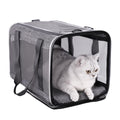 Soft Pet Carrier Bag for Cats and Puppy Under 20 lbs. Sturdy, Safe, Comfortable and Lightweight | Top Opening, Quik-in. Zip-to-Lock. Stress-Free Vet Visits. Cats Can't Resist. Easy Storage, Cleaning. Lightweight. Breathable - color: Grey
