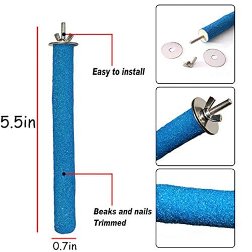 PINVNBY Stainless Steel Food Bowls for Birds,Bird Feeding Dish Cups Parrot Water Feeder Bowl with Clamp Holder Paw Grinding Perches for Budgies Parakeet Macaw Small Animal(5 Pack) - size: 【S:3.9x1.6 Inches】
