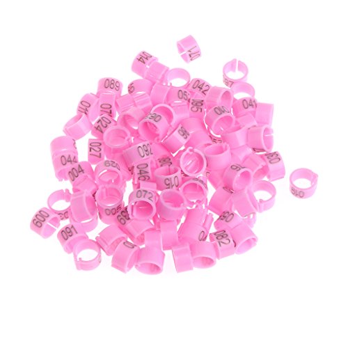 100-Pack 8mm Bird Leg Bands With Numbers Pigeons Foot Bands Clip Rings For Chicken For Quail Poultry Parrot Toys African Grey For Small Parrots For Large Birds Conure Macaw Parrot Toys Parts, White
