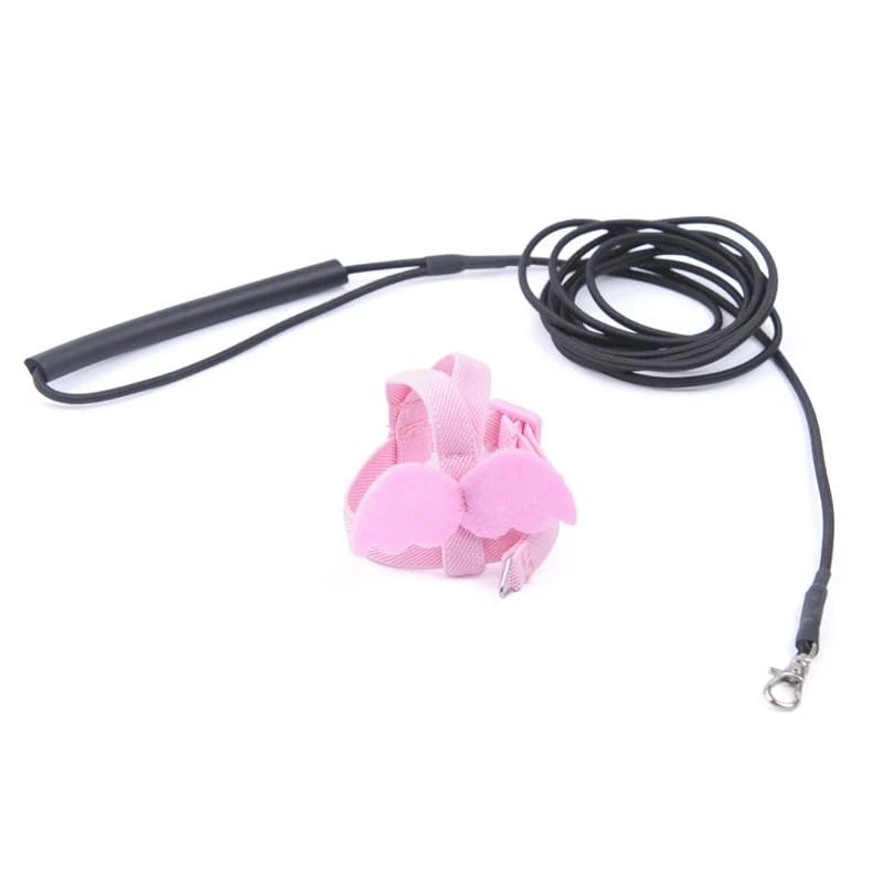 3pcs Parrot Flying Harness Leash Suit Pet Bird Outdoor Flight Training Rope Cockatiel Supplies Macaw Accessories Stuff for Budgie