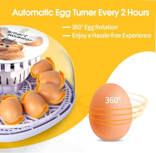 Egg Incubator, 12 Egg Capacity, Automatic Egg Turner, 360° Viewing, Temperature and Humidity Control, for Chicken, Duck, and Quail Eggs