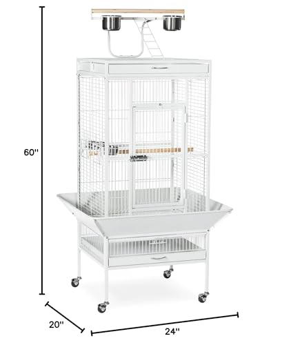 Prevue Hendryx 3152C Pet Products Wrought Iron Select Bird Cage, Chalk White, 24'' x 20'' x 60'' | Large Cage Ideal for Cockatiels, Conures, Quaker Parrots, Parakeets, Lovebirds, & Canaries, Rolling Stand with Wheels - color: Chalk White, size: 24.0"L x 2