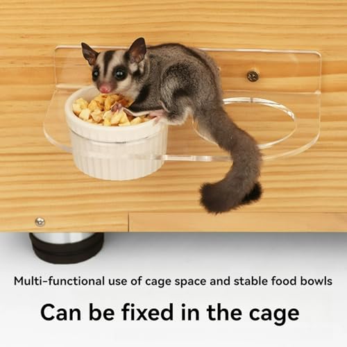 Sugar Glider Feeder Hanging Ceramic Bowl with Acrylic Stand Space-Saving Design for Small Pet (Two Bowls Small) - color: two bowls small