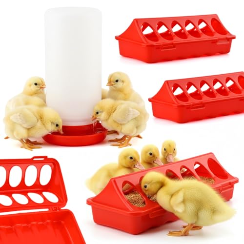 4Pcs Chick Feeder and Waterer Kit, 3×12-Hole Anti-Spill Trough Feeders & 1 Automatic Waterer, Baby Chick Starter Kit for Chicks Ducklings Quail & Small Poultry