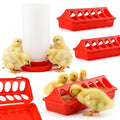 4 PCS Chick Feeder and Waterer Kit | 3×12-Hole Trough Feeders and 1 Low-Spill Chicks Waterer for Small Poultry Chicks Ducks Quail Pigeons Birds