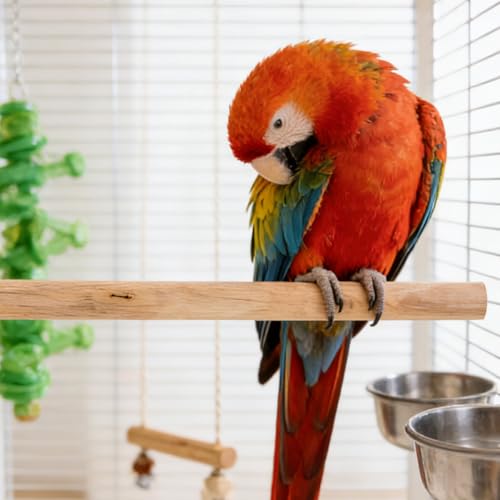 Kisangel Bird Cage Perches 5 Pack Natural Wood Parrot Perch Set with Built-in Bolts and Wing Nuts Claw Grinding Stand Toys for Parakeet Cockatiel Budgie Finch 11.81In Length