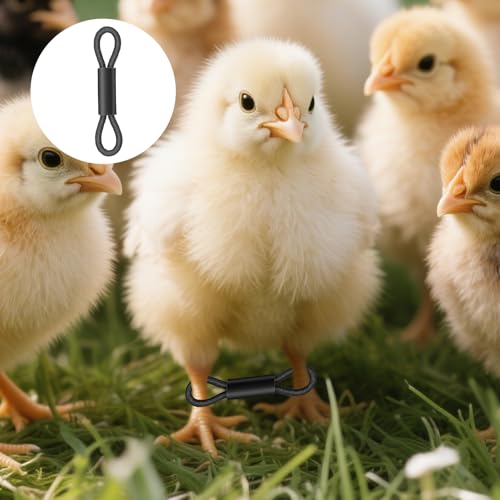 SynHHergyx Baby Chick Leg Bands, 100 Pcs Adjustable Splay Leg Bands for Chicks Poultry Legbands Chicken Hobble Braces for Newborn Spraddle Leg of Chick Quails Ducks Bird of 1 to 3 Days Newly Hatched