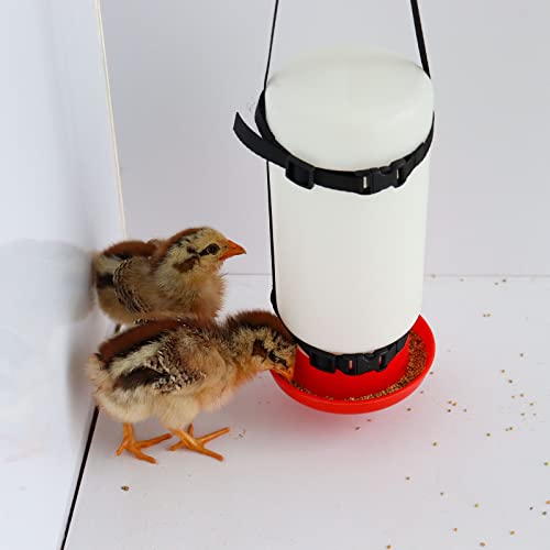 Dnoifne 2 Pack Chicken Hanging Straps for Poultry Farm Chicken Waterer Feeder(Bottle Not Included)