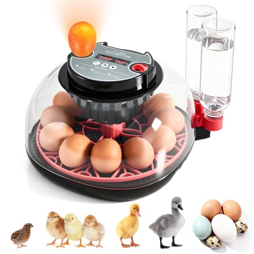 Incubators for Hatching Eggs - 12 Egg Capacity, Egg Incubator with Automatic Egg Turning and Temperature Control, Incubator for Chicken, Duck, Goose, Quail, 360° Full View, Home Farm Classroom Use