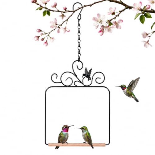 Grevosea Hummingbird Swings and Perches, Metal Frame Hummingbird Perch with Wooden Dowel and Hanging Chain Black Bird Swing for Outdoor Garden Lawn Patio Yard Bird Accessories