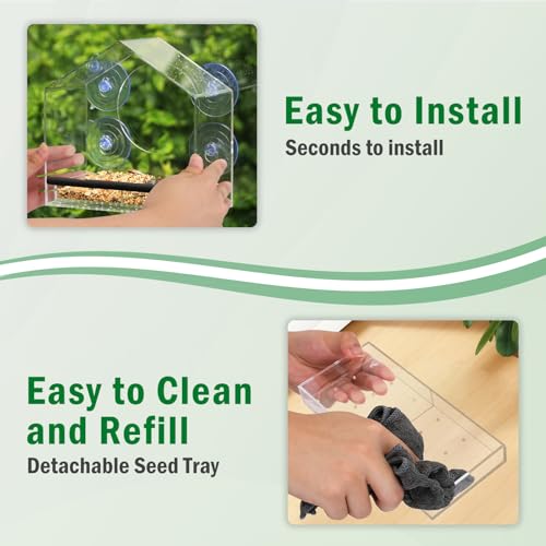Window Bird Feeder with Strong Suction Cups - Removable Tray | Extra deep 4.35" detachable tray, 2.36" heavy duty suction cup, clear bird feeder for window, fits finches, cardinals - color: Clear, size: 4.35IN