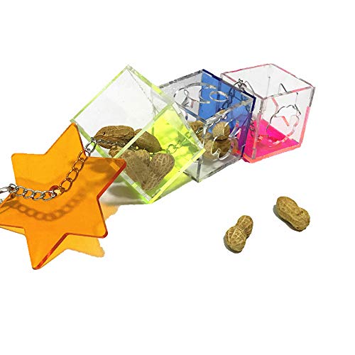 Bird Foraging Toys,Creative Parrot Feeder Box,Hanging Treat Foraging Toy for Anchovies,Parakeets,Cockatiel,Conure,Mynah,Macow