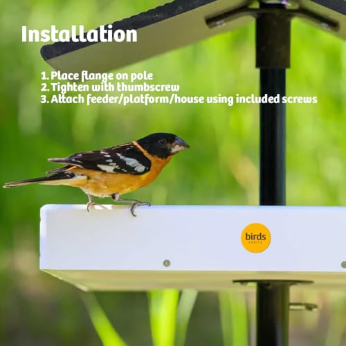 Birds Choice Mounting Flange for 1in Bird Feeder Pole | 3in Steel Disc | 1.0625in Center Opening, includes Thumbscrew and Screws for Secure Post or Deck Mounting