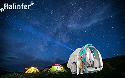 Back Expandable Cat Backpack Carrier, Fit up to 12 lbs, Space Capsule Bubble Window Pet Carrier Backpack for Cat and Small Puppy - color: Green