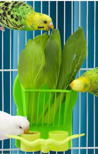 Bird Parrot Feeder Cage Fruit Vegetable Holder Vegetable Rack Pet Food Hanging Feeder Parrot Fruit Hanging Containers for Cage