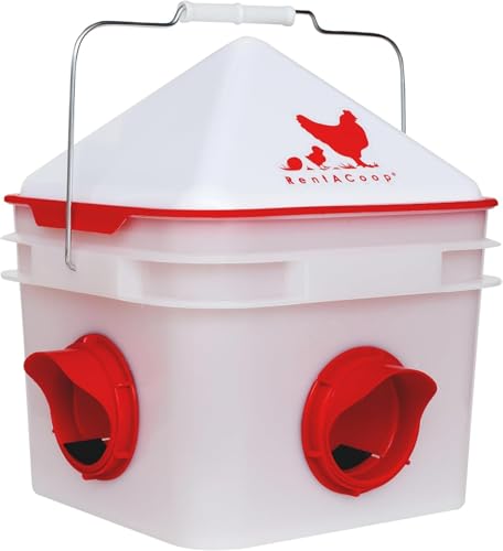 RentACoop Chick2Chicken 10lb Feeder & 2 Gallon Waterer Set - size: Set with Nipples and Auto-Refill Cups