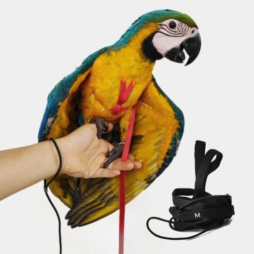 Adjustable Bird Harness with 78.7 Inch Leash, Outdoor Flying Training Rope Kit for Bird Parrots, Parrot Flying Rope Straps Outdoor Training Traction Rope for Small Medium Large Size Birds (M) - size: M