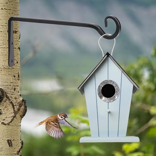 Plant Hangers Outdoor, 2 Pack 10 Inch Plant Hooks for Wall Hanging Plants | Metal Hanging Plant Bracket. Holds up to 48 lbs. For Hanging Plants, Bird Feeder, Flower Basket, Wind Chimes, Indoor Outdoor - size: 10 inches