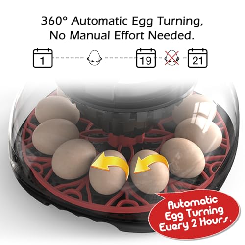 Smart Chicken Incubators for Hatching Eggs with Automatic Turner Small Poultry Duck Quail 12 Egg Incubator Temperature Control Display Hatcher Machine (M12 Pro) - color: M12 Pro
