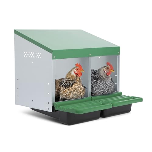 Homestead Essentials Classic Style 2 Compartment, Forward Rollout and Rollaway, Hen & Chicken Nesting Box with Integrated Perch and Protective Egg Laying Collection Lids - size: 20.8"L x 20.5"W x 20.0"H