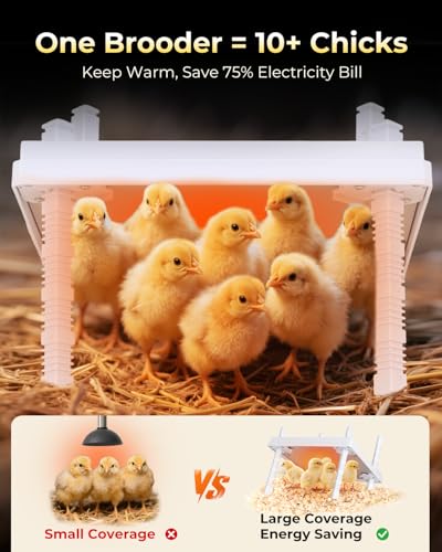 12"x12" Chick Heat Plate with Remote Precise Temperature Control | Adjustable height and angle, anti-tip frame, 30W low-energy heating, supports up to 20 chicks, ideal for indoor brooding