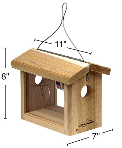 Cedar Hanging Bluebird Mealworm Feeder