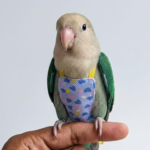 Bird Flight Harness Vest, Snap-Fastener Design Harness Vast, Bird Flying Clothes with Rope and Handle for Parakeets Cockatiels Conures Budgies（Blue Heart - Vest + Traction S - color: Blue Heart, size: S