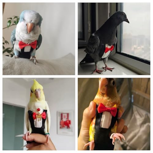 Bird Diapers Bird Harness Tuxedo Flight Suits with 80in Flying Leash Parrot Nappy with Waterproof Inner Layer Urine Wet Suite for Cockatiel Conure Parakeet Macaw Budgie-Black,L - size: L