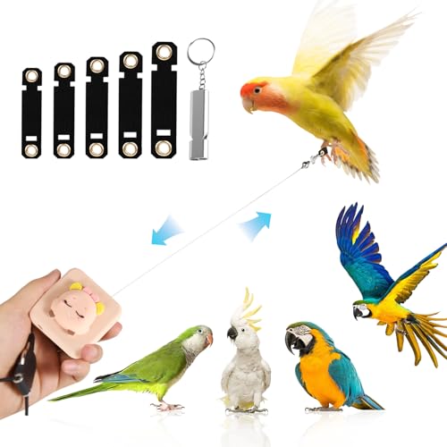 Bird Leash, Elyssnova 2024 New Bird Harness, Retractable Parrot Leash, Used for Bird Flight Training, 0-20 Feet Freely Adjustable, Suitable for Various Birds