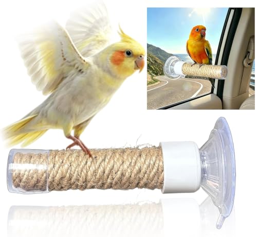 Window Perch for Birds Suction Cup Bird Perch of Car Travel for Cockatiel